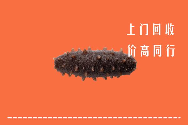 高价求购：南召县回收海参