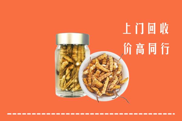 南召县回收冬虫夏草
