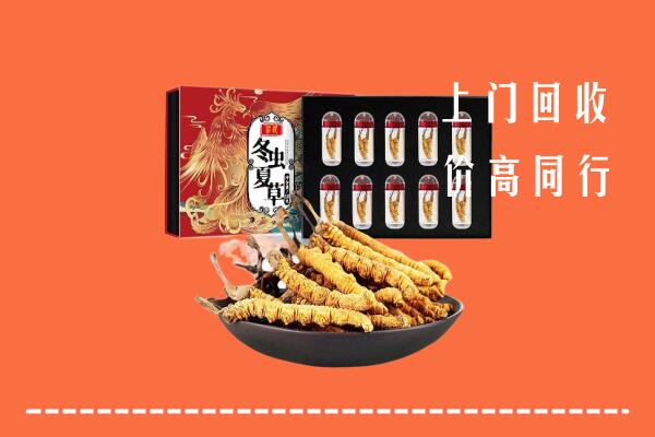 南召县回收虫草